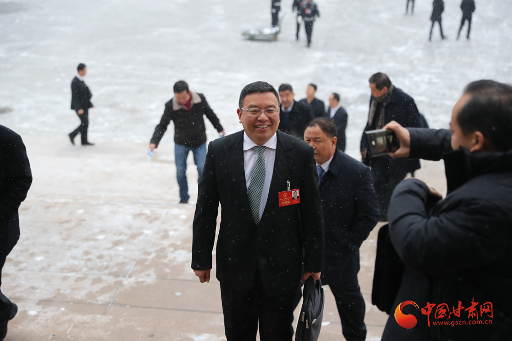 【聚焦2020甘肅兩會】“兩會”代表、委員風采掠影（組圖）