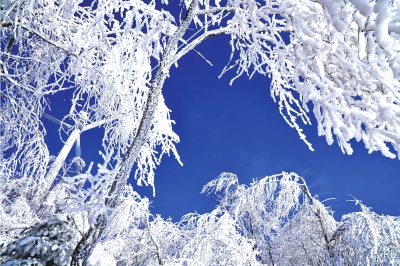 定西通渭縣首屆“華嶺霧凇冰雪節”開幕
