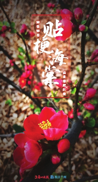 來，跟這些美美的花朵認識一下！