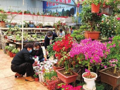 按下恢復鍵 蘭州花魚市場滿目春色