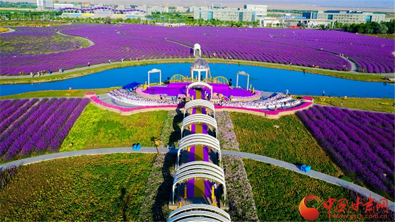 金昌市積極謀劃文旅項目 著力打好產業復工翻身仗