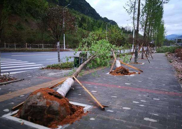 刮風下雨加速新冠病毒傳播？別信！