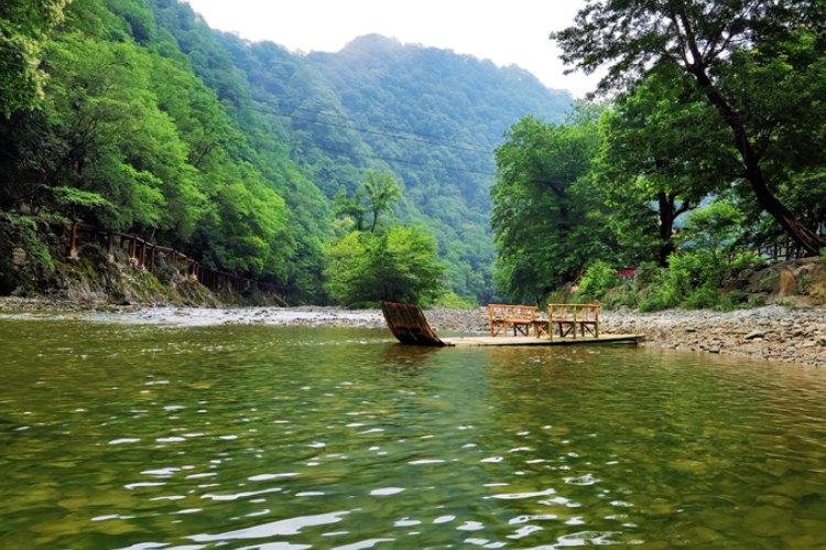 【小隴畫報(bào)·95期】康縣：來陽(yáng)壩，“森”呼吸，我“氧”你
