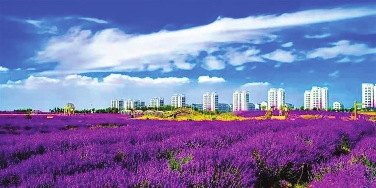 “三連冠”！金昌蟬聯全國文明城市
