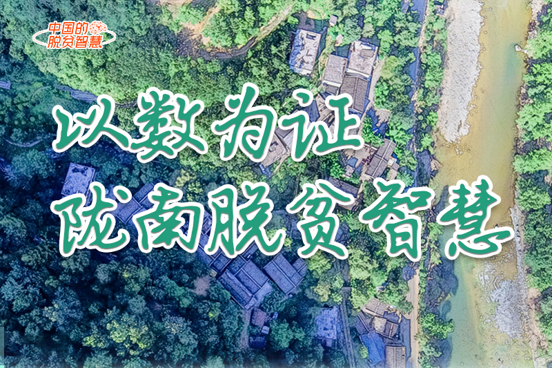 【中國的脫貧智慧】以數(shù)為證！隴南脫貧智慧來了！