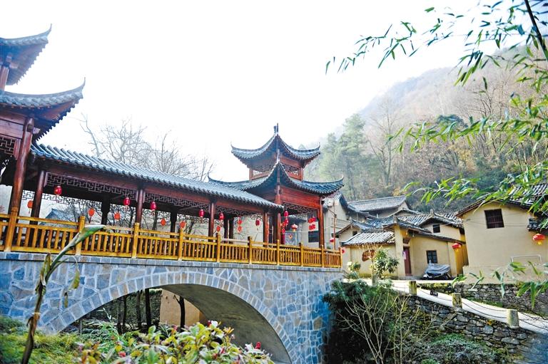 我和我的家鄉丨隴南康縣朱家溝村：古村落的新生活