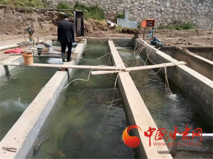 蘭州榆中：馬坡鄉成功養殖虹鱒魚 每斤40元銷路有保障
