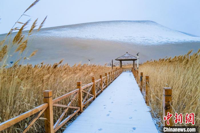 2021年11月28日,在敦煌鳴沙山月牙泉景區,沙雪交融,更顯北國風情。 王斌銀 攝 2021年11月28日,在敦煌鳴沙山月牙泉景區,沙雪交融,更顯北國風情。 王斌銀 攝