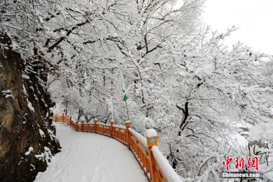 圖為上山的石階被雪覆蓋。張天寶 攝 圖為上山的石階被雪覆蓋。張天寶 攝