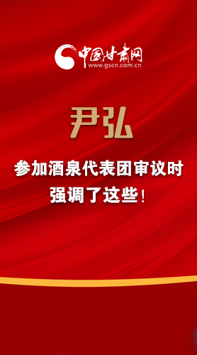 【2022甘肅兩會·圖解】尹弘書記參加酒泉代表團審議時強調了這些！