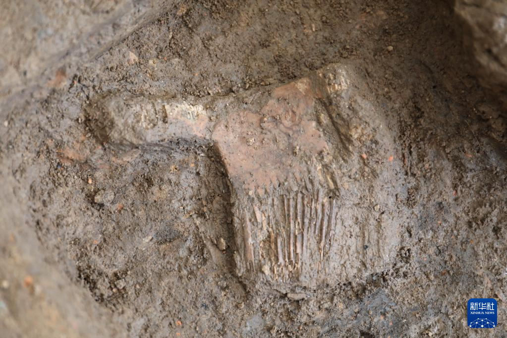 河南南陽(yáng)市黃山新石器時(shí)代遺址出土的屈家?guī)X文化骨梳(資料圖)。