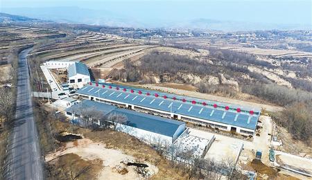 【奮進新征程 建功新時代 喜迎省第十四次黨代會】項目落地生根 產業開花結果