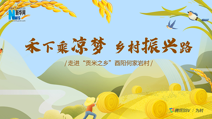 走進“貢米之鄉”看禾下乘涼夢 鄉村振興路