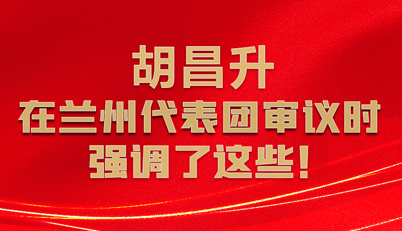 圖解|胡昌升在蘭州代表團審議時強調了這些！