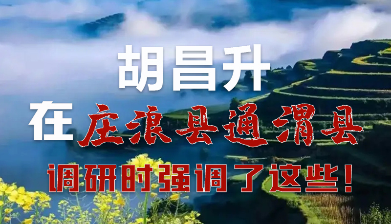 圖解|胡昌升在莊浪縣通渭縣調(diào)研時(shí)強(qiáng)調(diào)了這些！