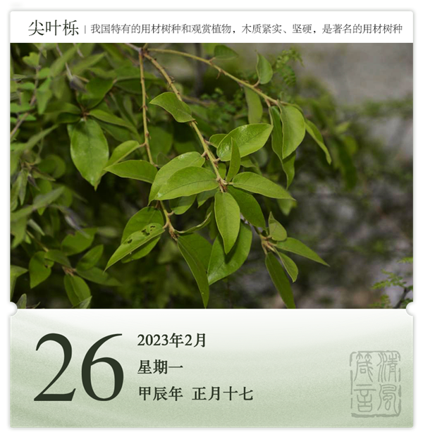 1708312699769524.png 箴歷日歷2-26.png