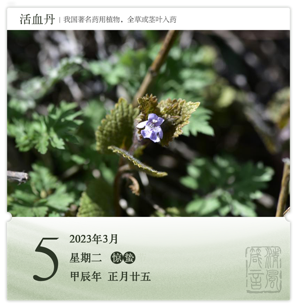 1709538343153884.png 箴歷日歷3-5.png