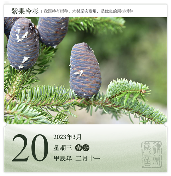 1710386362361287.png 箴歷日歷3-20.png