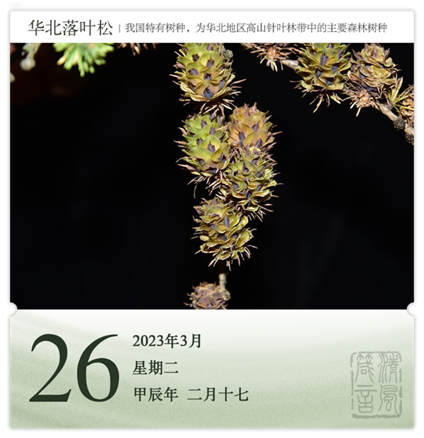 1710387070390447.png 箴歷日歷3-26.png