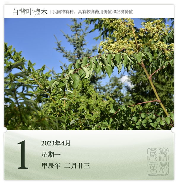 1711702529709016.png 箴歷日歷4-1.png