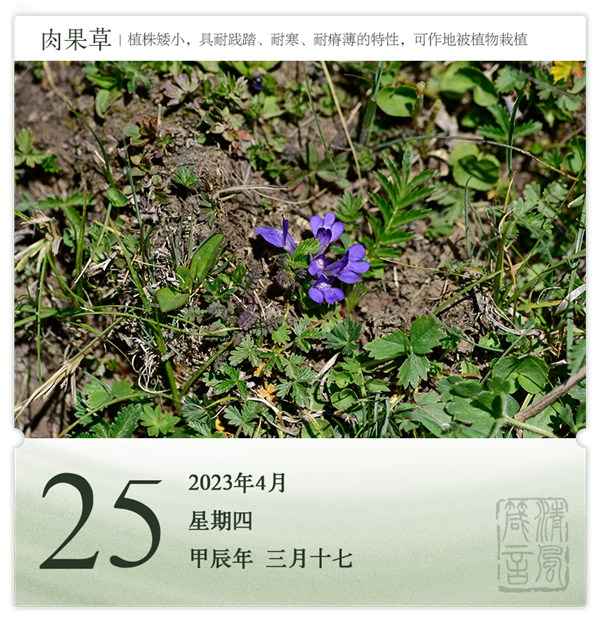1713857704573019.png 箴歷日歷4-25.png