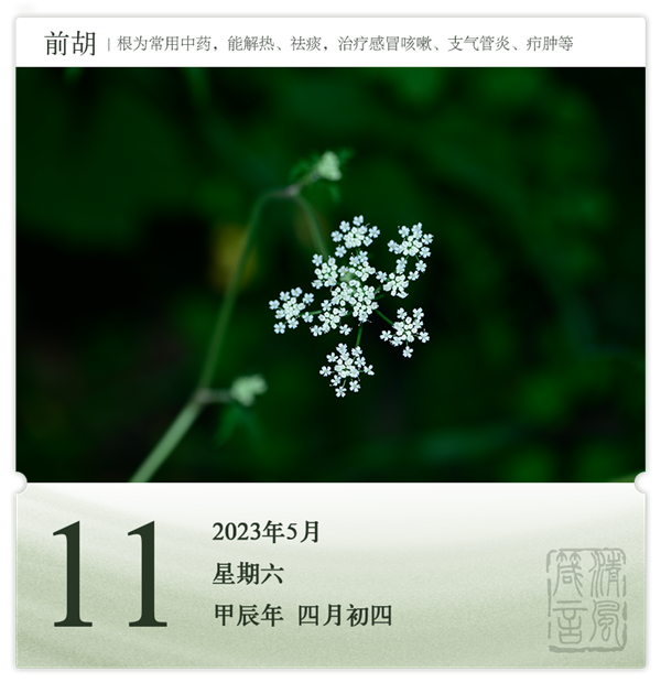 1714275300700448.png 箴歷日歷5-11.png