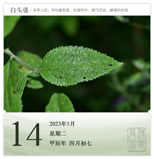 1714275486624865.png 箴歷日歷5-14.png