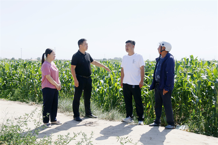 1721642572456010.jpg 臨澤縣沙河鎮(zhèn)紀(jì)委工作人員深入田間地頭了解玉米制種生產(chǎn)情況.jpg