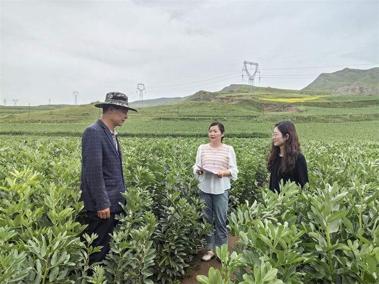 1721898041570263.jpg 圖為古浪縣十八里堡鄉紀檢監察干部在東廟兒溝村大豆種植基地了解產業獎補政策落實情況.jpg