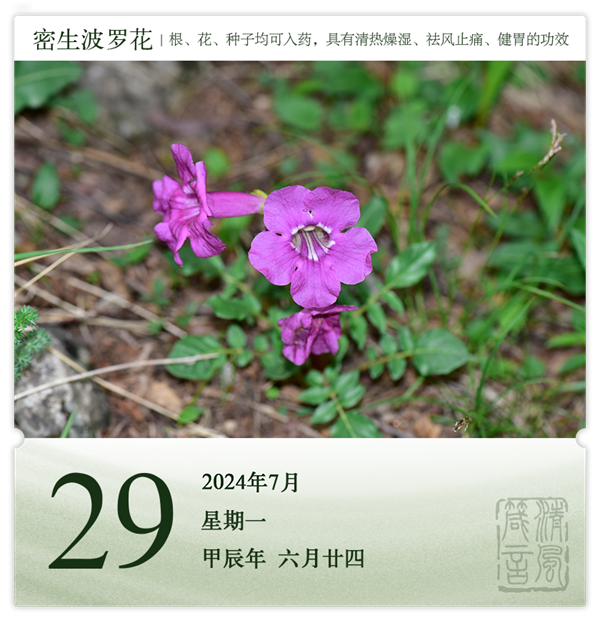1721985162685983.png 箴歷日歷7-29.png