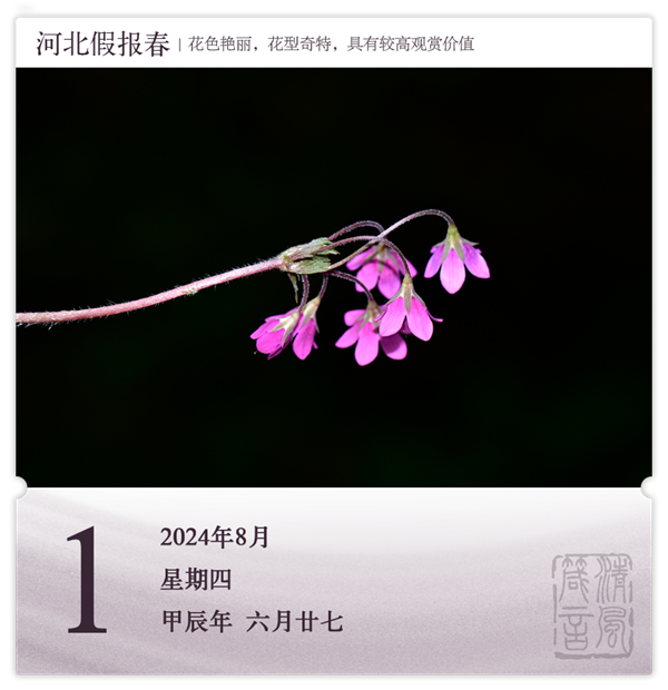 1722419580980098.png 箴歷日歷8-1.png