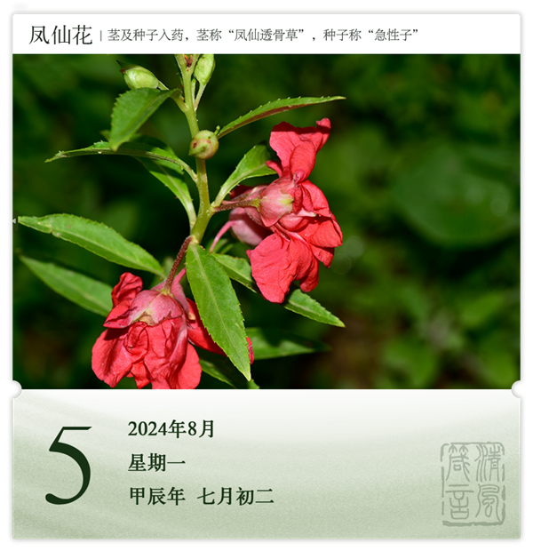 1722568379115087.png 箴歷日歷8-5.png