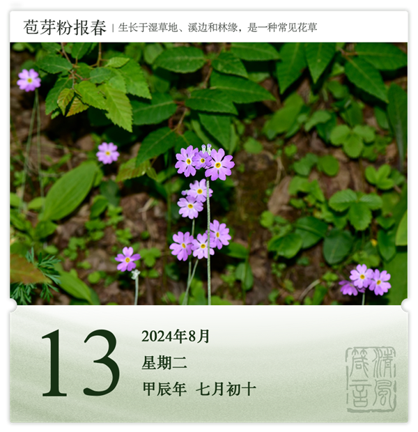 1722569723910195.png 箴歷日歷8-13.png