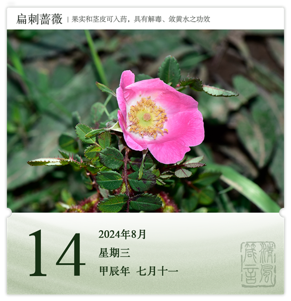 1722581033934801.png 箴歷日歷8-14.png