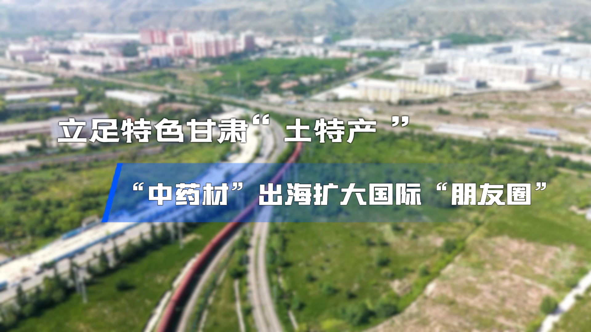 立足特色 甘肅“土特產”“中藥材”出海擴大國際“朋友圈”