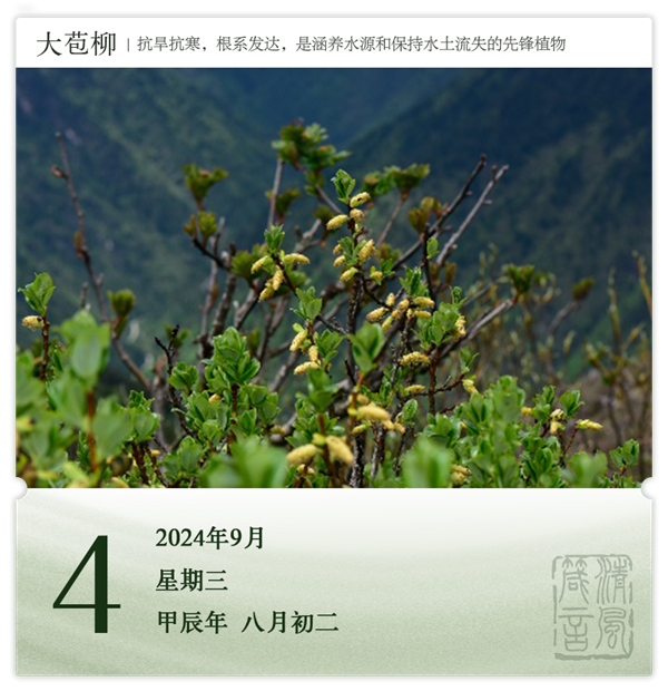 1725266755796320.png 箴歷日歷9-4.png
