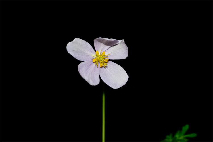 1726038583283950.png 13-2t.png
