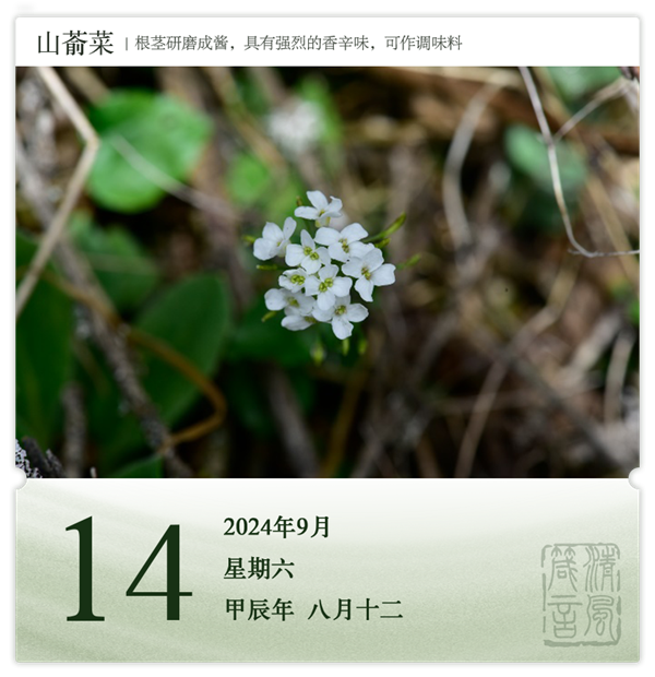 1726039165791424.png 箴歷日歷9-14.png