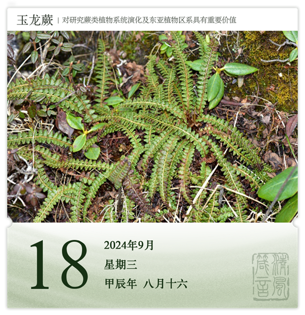 1726039471275813.png 箴歷日歷9-18.png