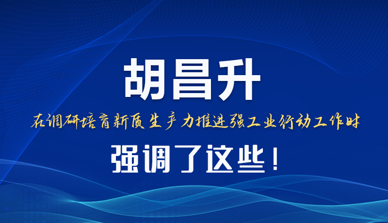 圖解|胡昌升在調研培育新質生產力推進強工業行動工作時強調了這些！