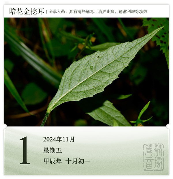 1730187105134608.png 箴歷日歷11-1.png