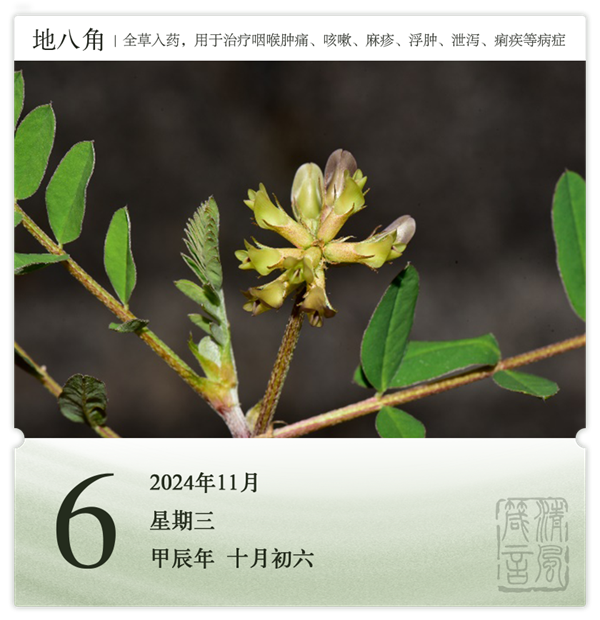 1730187602223372.png 箴歷日歷11-6.png
