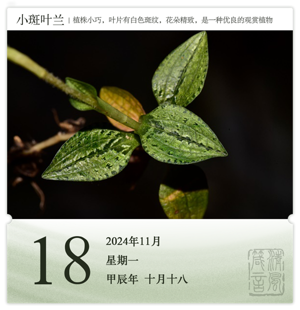 1730189245857471.png 箴歷日歷11-18.png