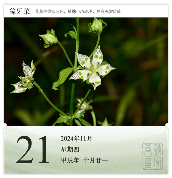 1730189488511427.png 箴歷日歷11-21.png