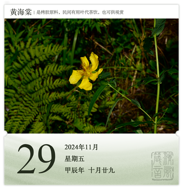 1730190339467793.png 箴歷日歷11-29.png