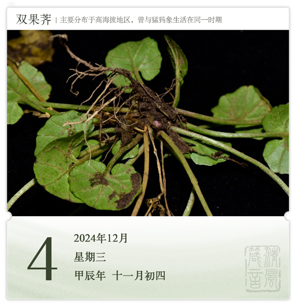 1732868202648679.png 箴歷日歷12-4.png