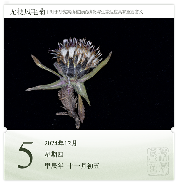 1732868500995719.png 箴歷日歷12-5.png