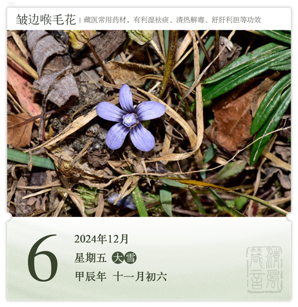 1732868737381353.png 箴歷日歷12-6.png