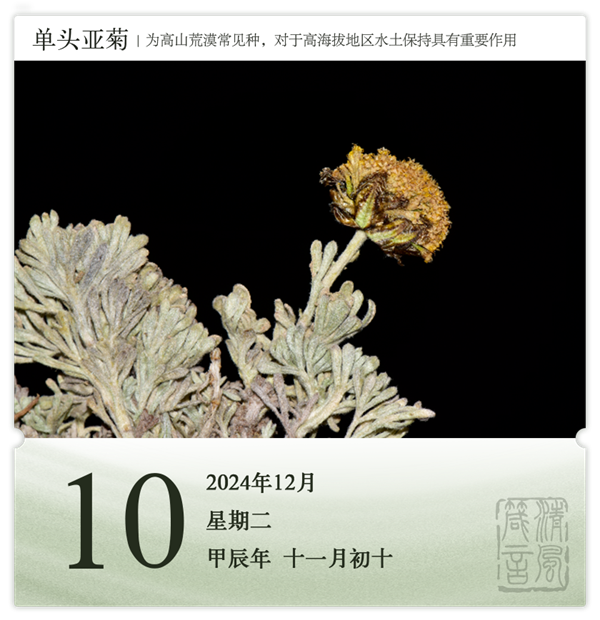 1732869225255467.png 箴歷日歷12-10.png