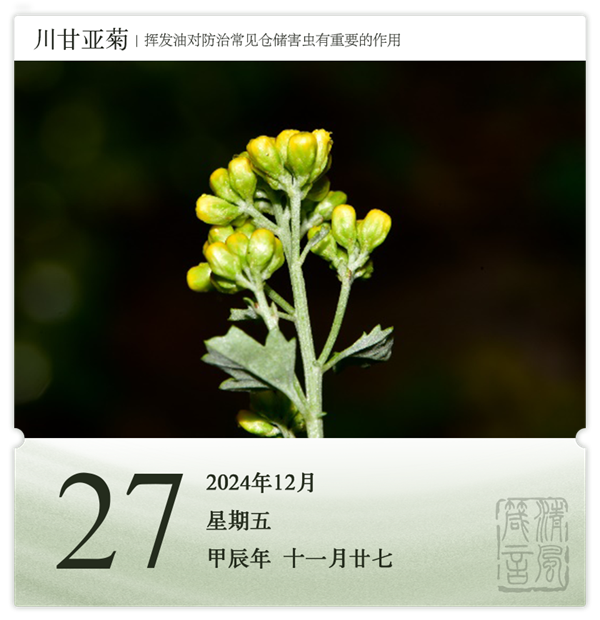 1732871486776175.png 箴歷日歷12-27.png